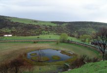 Bingöl’de Gezilecek Yerler Bingöl Yüzen Ada