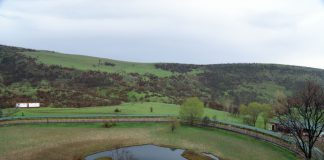 Bingöl’de Gezilecek Yerler Bingöl Yüzen Ada