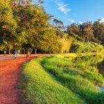 Ibirapuera Parkı, Sao Paulo, Brezilya 