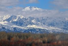 Tunceli’de Ne Yenir, Nerede Yenir? Munzur Dağı Tunceli
