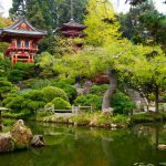 Golden Gate Park, San Francisco, Amerika Birleşik Devletleri