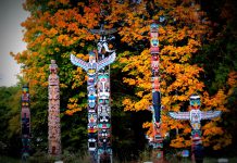 Vancouver’da Gezilecek Yerler Stanley Park, Vancouver, Kanada