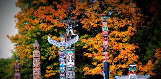 Vancouver’da Gezilecek Yerler Stanley Park, Vancouver, Kanada