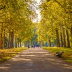 Hyde Park, Londra, İngiltere