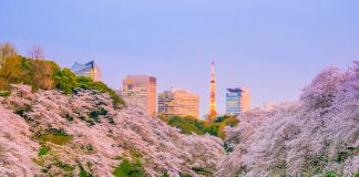 Dünyadaki En Güzel 25 Şehir Parkı Ueno Parkı, Tokyo, Japonya
