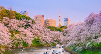 Dünyadaki En Güzel 25 Şehir Parkı