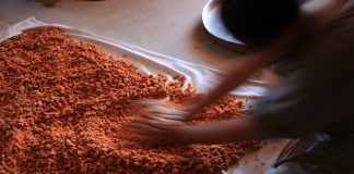 Uşak’ta Ne Yenir, Nerede Yenir? Uşak Tarhana