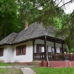 Rumen Kırsal Yaşam Müzesi (Museum of Romanian Peasant)