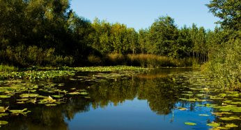 Sakarya’da Gezilecek Yerler