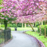 St.Stephen Parkı Dublin