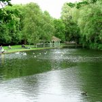 St. Stephen Parkı Dublin