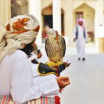 Falcon Souq Doha Katar