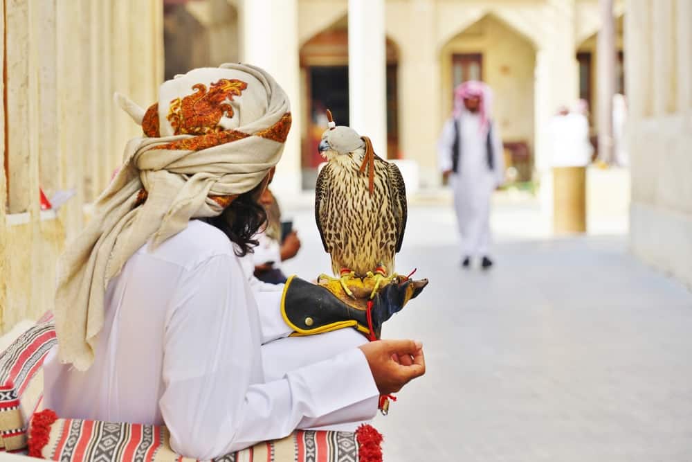 Falcon Souq Doha Katar