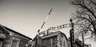 II. Dünya Savaşı’nın İzinde Avrupa Şehirleri Auschwitz Toplama Kampı Polonya