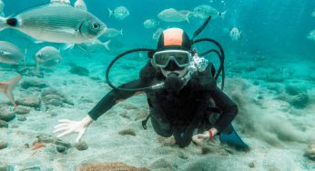 Muğla’da Dalış Yapılacak En İyi 12 Yer