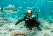 Muğla’da Dalış Yapılacak En İyi 12 Yer Tenerife, Kanarya Adaları, İspanya Dalış