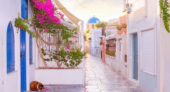 Mikonos Seyahat Rehberi