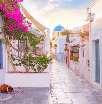 Mikonos Seyahat Rehberi Mykonos Yunanistan