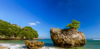 Bali’de Gezilecek 42 Yer Padang Padang Bali