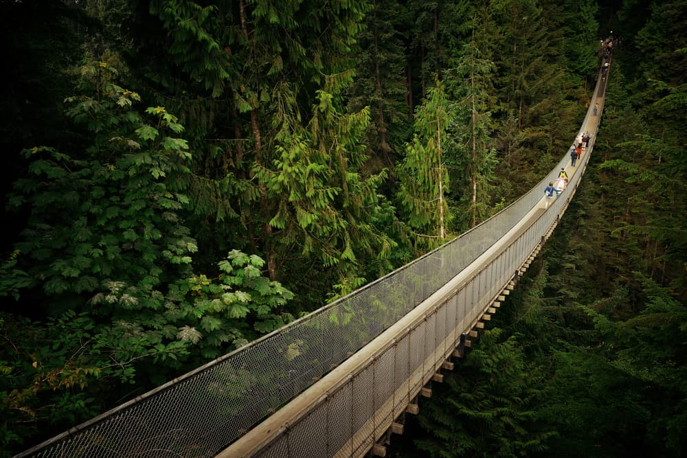 Capilano Asma Köprüsü Vancouver