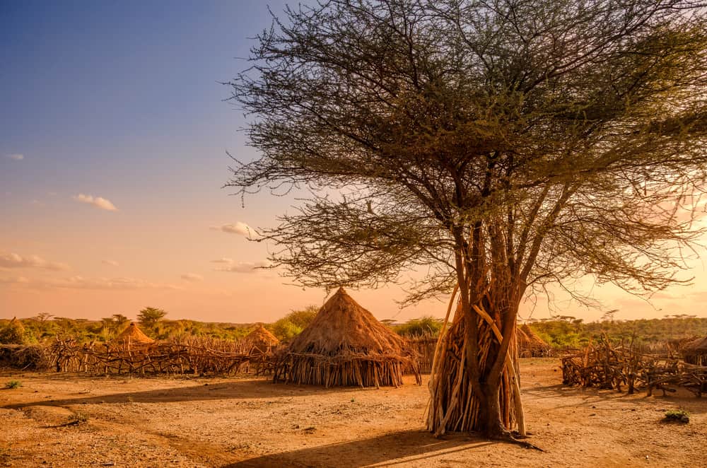 Hamer Köyü Etiyopya