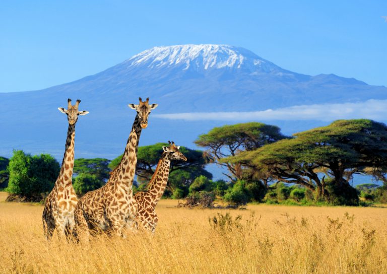 Kenya’da Gezilecek Şehirler