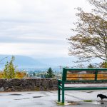 Kraliçe Elizabeth Parkı Vancouver