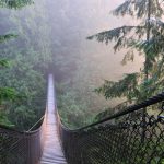 Lynn Kanyon Asma Köprüsü Vancouver Kanada