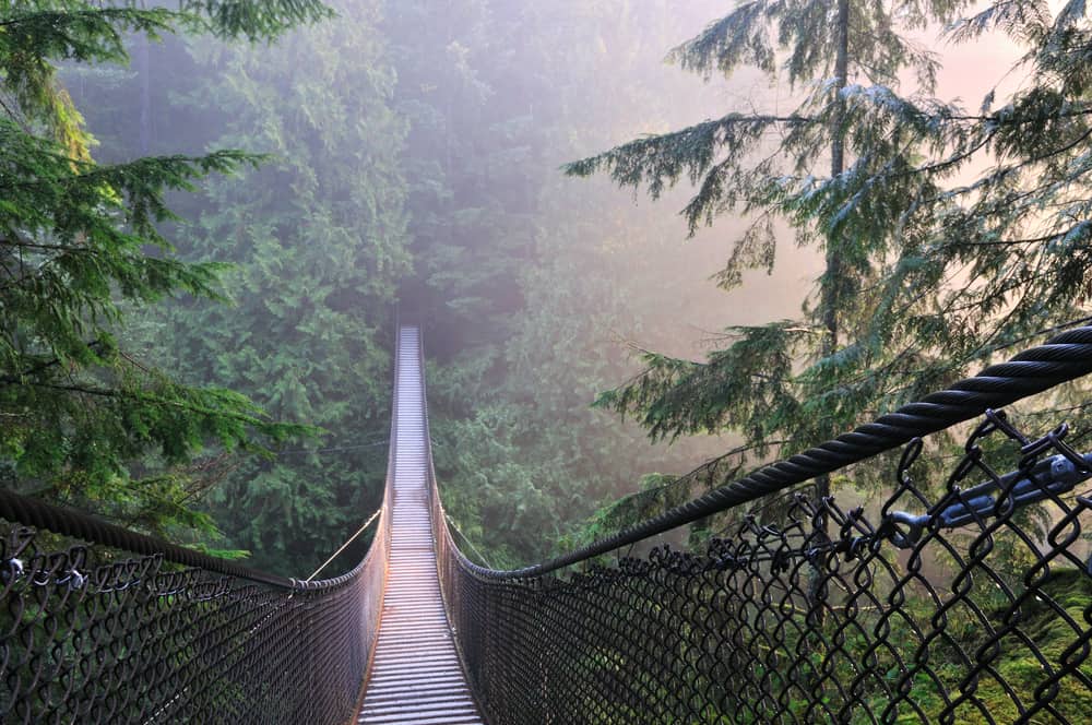 Lynn Kanyon Asma Köprüsü Vancouver Kanada