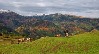 Rize’deki En Güzel Kamp Alanları 
