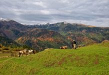 Rize’deki En Güzel Kamp Alanları  Çat Vadisi Rize