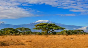 Tanzanya’da Gezilecek Şehirler