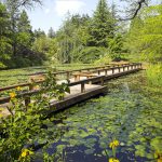 Vancouver VanDusen Botanik Bahçesi