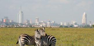 Nairobi Kenya