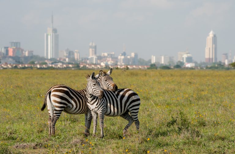 Nairobi Seyahat Rehberi