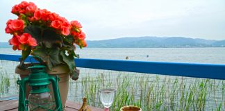 Sakarya’da Ne Yenir, Nerede Yenir? Sakarya Sapanca Gölü