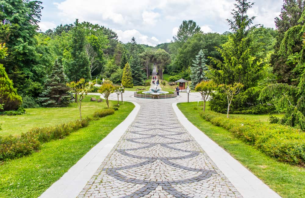 Atatürk Arboretumu'nda Yapılacak Aktiviteler