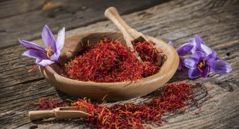 Dünyanın En Pahalı Yiyecekleri