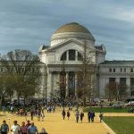 Smithsonian Ulusal Doğa Tarihi Müzesi, Washington, ABD