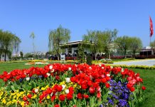 İstanbul’un En Keyifli 10 Belediye Tesisi Büyükçekmece Sosyal Tesisi