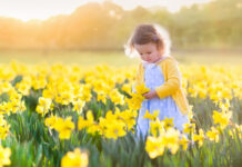 Bahar Ara Tatilinde Çocuklarınızla Beraber Gidebileceğiniz 20 Yer Bahar Tatili