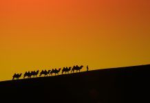 İpek Yolu Üstünde Görülmesi Gereken 4 Nokta Xinjiang Çin- İpek Yolu