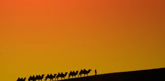 İpek Yolu Üstünde Görülmesi Gereken 4 Nokta Xinjiang Çin- İpek Yolu