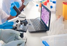 Yurt Dışına Gidişlerde İstenen PCR Testi Hakkında Bilinmesi Gerekenler- Türkiye’ye Girişte PCR Zorunlu Mu? PCR Testi