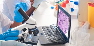 Yurt Dışına Gidişlerde İstenen PCR Testi Hakkında Bilinmesi Gerekenler- Türkiye’ye Girişte PCR Zorunlu Mu? PCR Testi