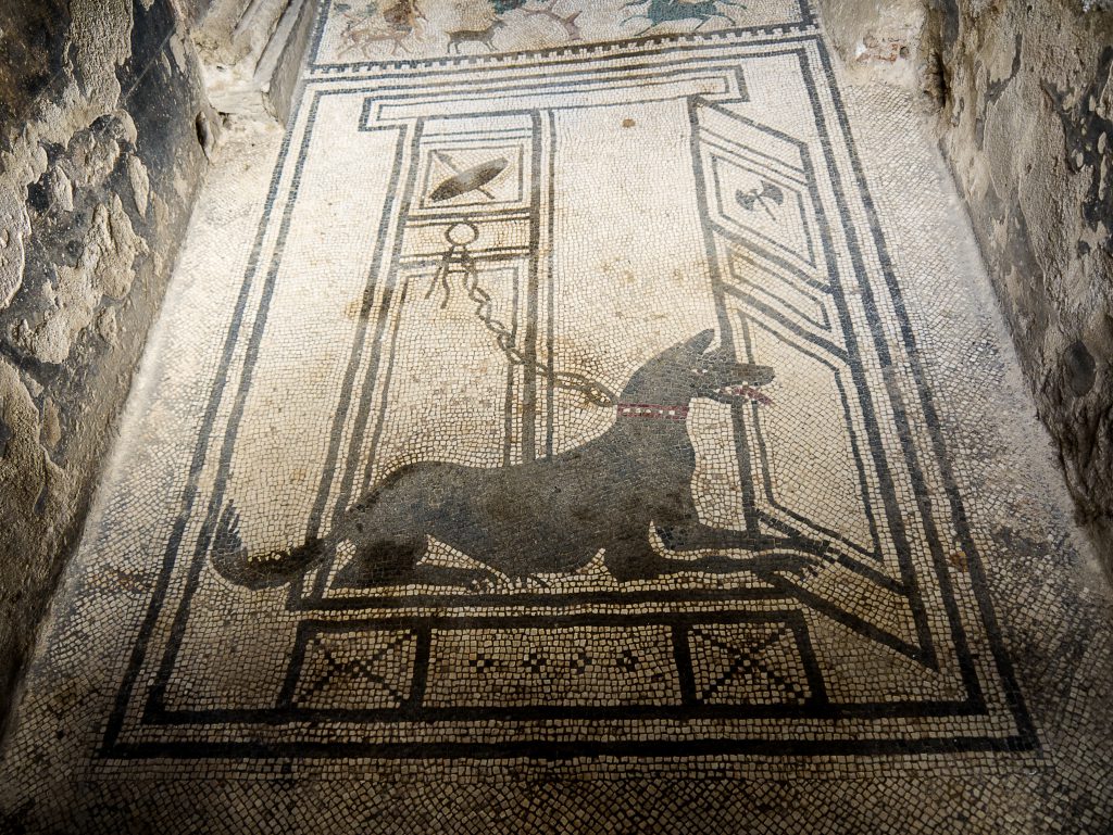 CAVE CANEM (Köpeğe Dikkat Et) yazılı mozaik, Pompeii