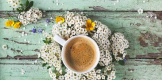 İstanbul’un Çiçek Kafeleri Floral Cafe