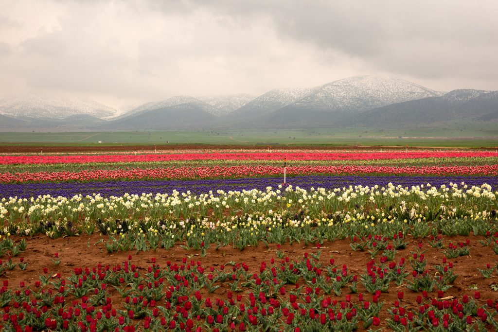Karaman’da Ne Yenir, Nerede Yenir?
