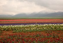 Karaman’da Ne Yenir, Nerede Yenir? Karaman