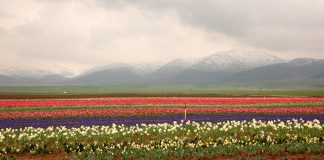 Karaman’da Ne Yenir, Nerede Yenir? Karaman